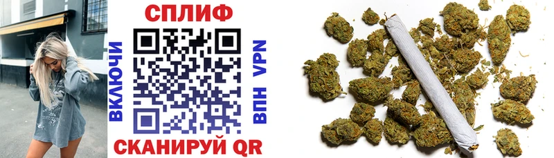 Каннабис White Widow купить наркотики цена Кораблино